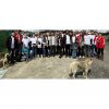 Tüm Canlılar Sevgi Dolu Bir Yuvayı Hak Eder