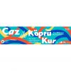 “CAZ İLE KÖPRÜ KUR” PROJESİ BAŞLIYOR