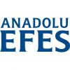Anadolu Efes, Tiyatro Desteğine Devam Ediyor
