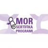 Mor Sertifika Programı19. Döneminde