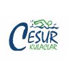 Abdi İbrahim Vakfı&rsquo;nın &ldquo;Cesur Kulaçlar&rdquo;