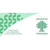 “Antakya Yeniden” Gönüllüleri, Antakya’yı Yeniden Canlandırıyor
