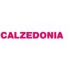 Calzedonia PR ajansını seçti
