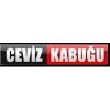 Ceviz Kabuğu izleyicisi ile buluşuyor