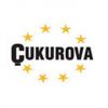 Çukurova Grubu'nun medya kuruluşlarına ortak geliyor