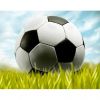 Ekranların ilk futbol yarışması başlıyor!