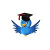 En çok tweet hangi üniversiteden atılıyor?