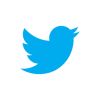 Hükümetin “Twitter” formülü