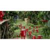 NESCAFÉ’nin kırmızı kupası reklam yüzü oldu