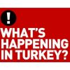 New York Times'dan Gezi ilanı