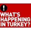 New York Times'dan Gezi ilanı