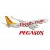 Pegasus'un yeni imaj kampanyası internette
