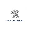  Peugeot Satış Direktörlüğü'ne Yeni Atama