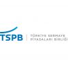Yerli Yatırımcılar Pay Senedi Varlıklarını sevdi