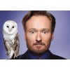 Sosyal medya, TV reytinglerini arttırıyor!