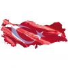 Türkiye markası, kaç milyar dolar?