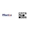 TikTok'u yöneten Cats&Dogs'un iletişimini PRactice yönetecek