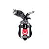 Armamız Değişmedi, Kartal Simgesi Resmileşti!