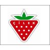 Çilek'te üst düzey atama