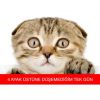 Turkcell Superonline’dan pazartesi sendromuna ilaç olacak uygulama 