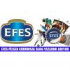 Efes Blogger'ını arıyor!