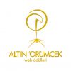 11. Altın Örümcek Web Ödülleri sahiplerini buldu