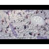 Milka’dan baloncuklu reklam filmi