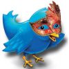 Okan Bayülgen'in yeni ekibi Twitter'dan!