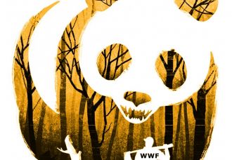 Doğayı korumaya yönelik çalışmalar