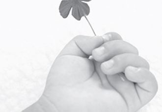 2010 Sürdürülebilirlik Çalışması