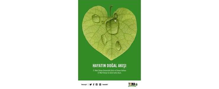 Orman ve su hayattır