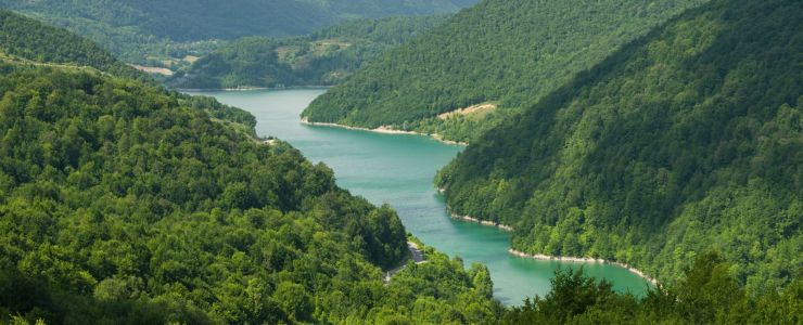 Sağlıklı Yaşam İçin Sağlıklı Ormanlar, Temiz Su