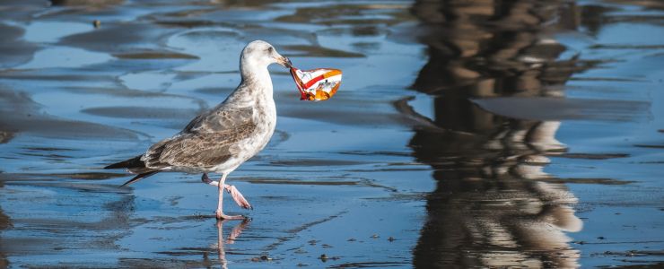 Tema Vakfı'ndan "Plastik kirliliğine son"