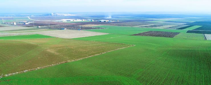 TEMA Vakfı 2023’ün Çevre Olaylarını Değerlendirdi