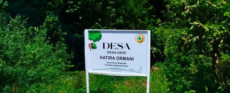 DESA’dan 100.000 fidanlı büyük proje