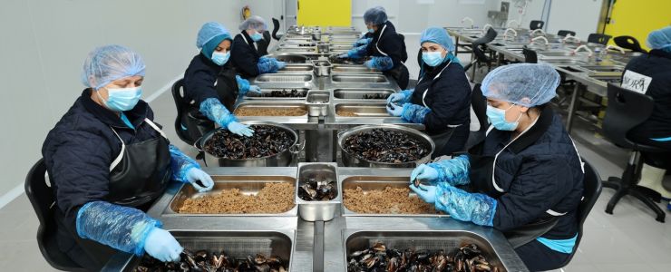 CarrefourSA’dan Mavi Ekonomi Atağı