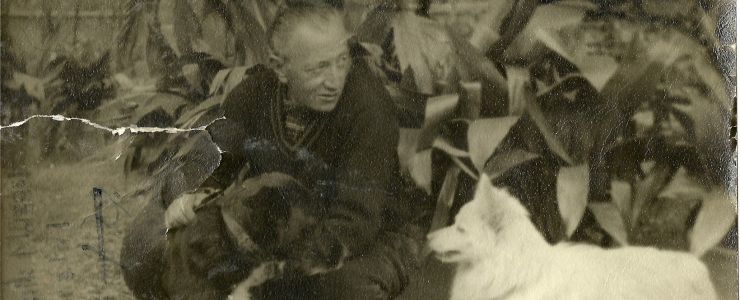71. Sait Faik Hikâye Armağanı başvuruları açıldı