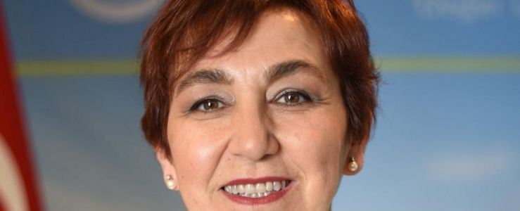 Türkiye IWF Yönetim Kurulunda