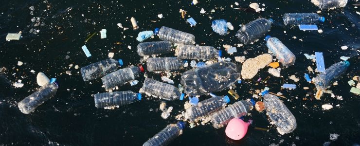 TEMA: Doğayla Uyumlu Yaşamalıyız