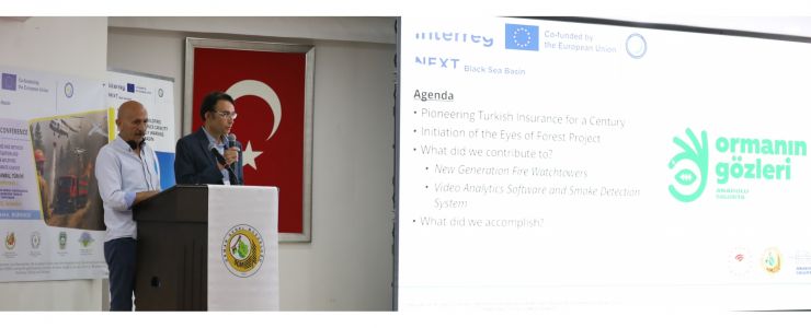 “Ormanın Gözleri”, Uluslararası Arenada
