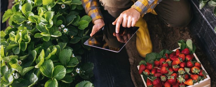 Bayer, ResiYou ile Üretimi Destekliyor