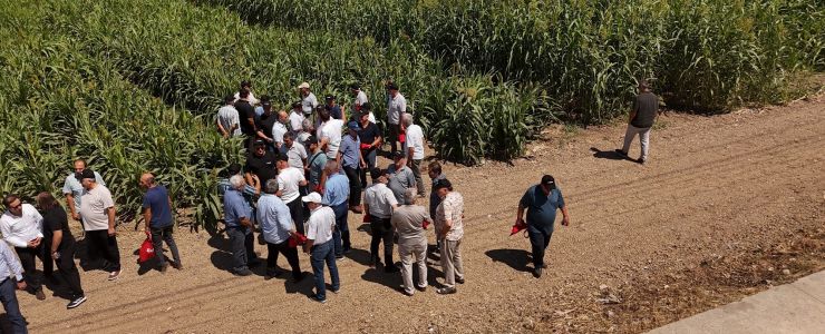 ASAŞ Yeşil Enerji’den Sürdürülebilir Tarıma Destek