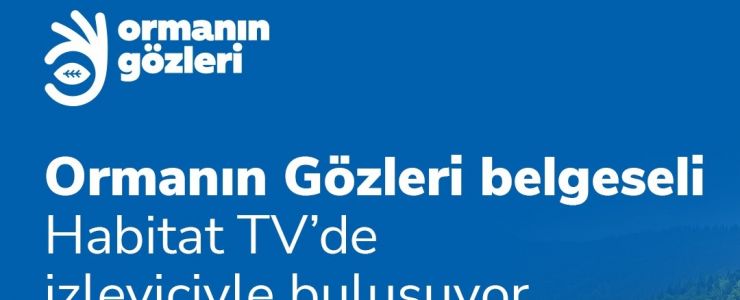 Anadolu Sigorta’nın “Ormanın Gözleri” yayında