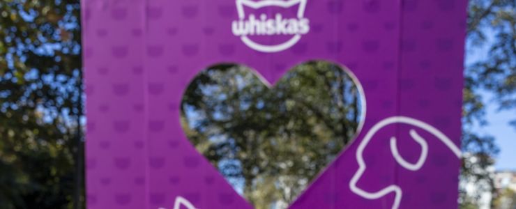 WHISKAS®’tan “Gör Beni”