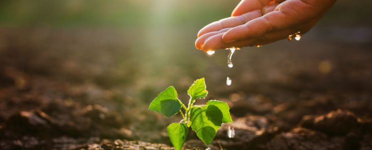  Toprak Yoksa Su, Su Yoksa Gıda Yok!