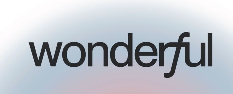 Wonderful, 100 Milyon Dolar Yatırım Aldı