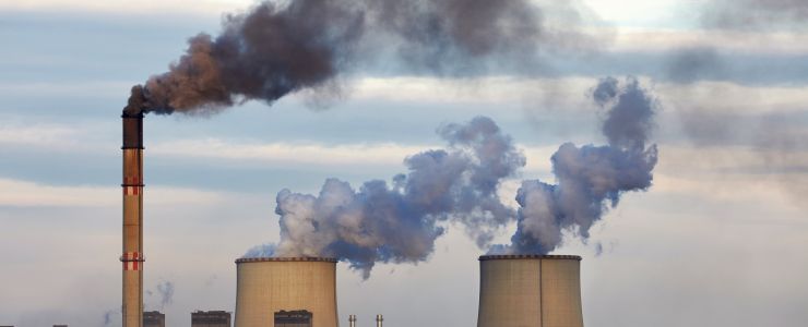 TEMA Vakfı: COP30Erteleme Üretti