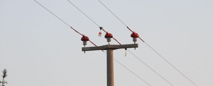 Kuşların Göç Yolculuğunda Elektrik Çarpması tehlike