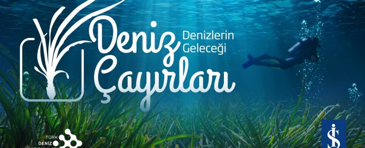 Denizlerin akciğerleri çökme tehlikesiyle karşı karşıya