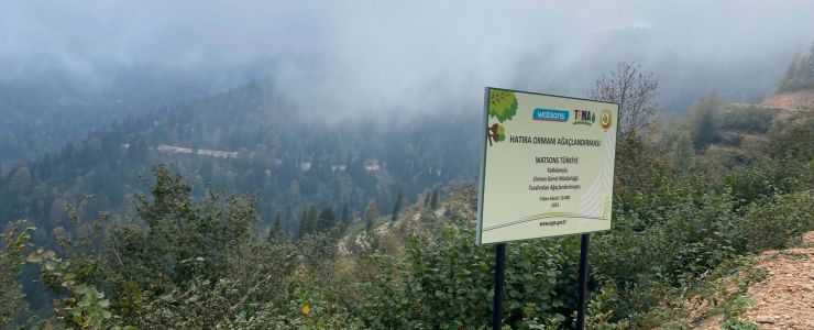 Watsons İyilik Hareketi Ormanlarımızı Büyütmeye Çağırıyor